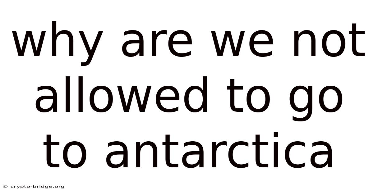 Why Are We Not Allowed To Go To Antarctica