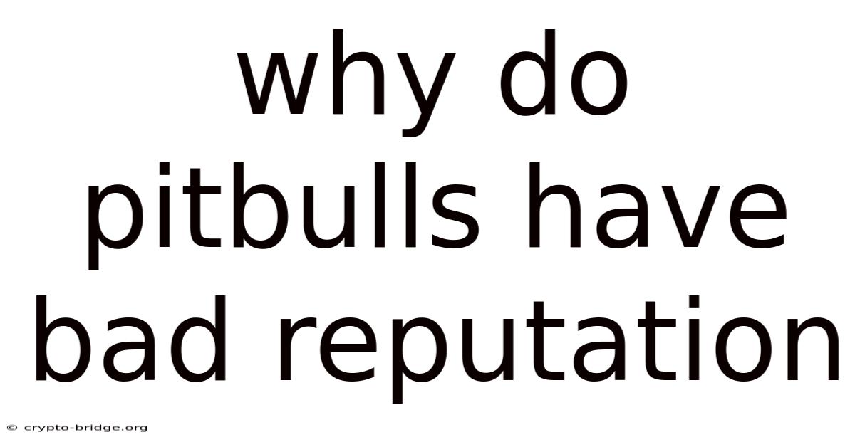 Why Do Pitbulls Have Bad Reputation