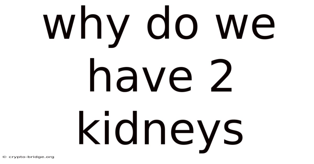 Why Do We Have 2 Kidneys