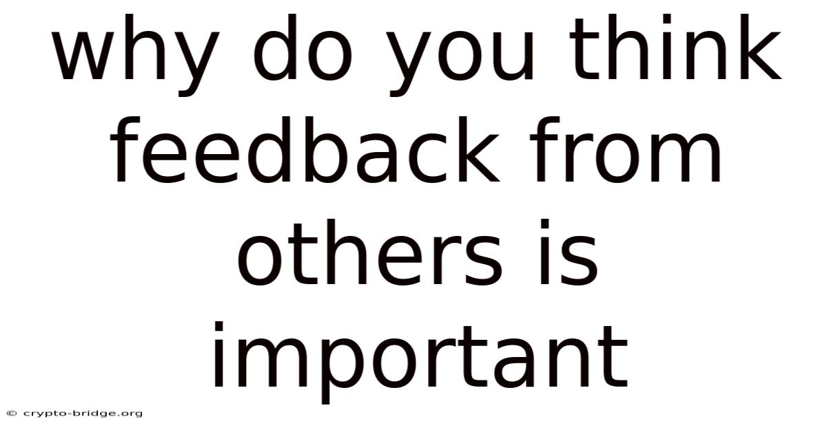 Why Do You Think Feedback From Others Is Important