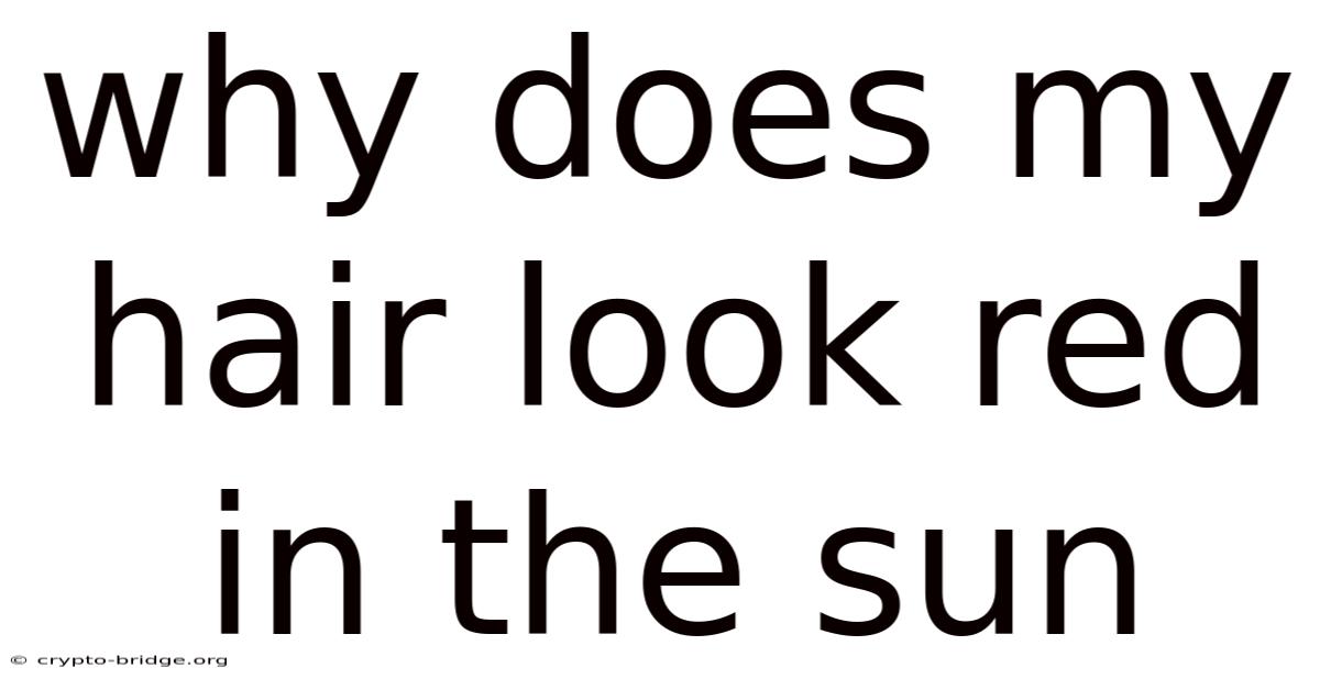 Why Does My Hair Look Red In The Sun