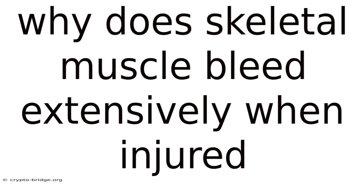 Why Does Skeletal Muscle Bleed Extensively When Injured