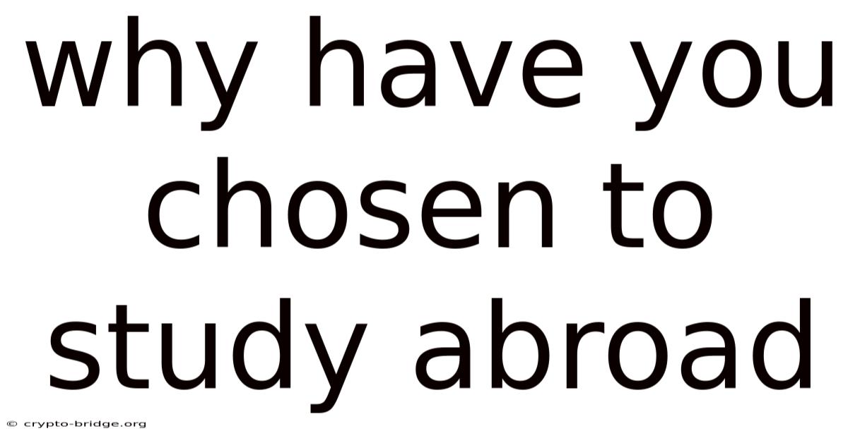 Why Have You Chosen To Study Abroad