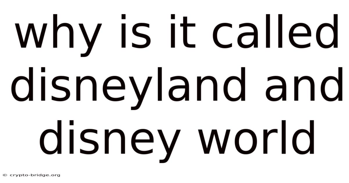 Why Is It Called Disneyland And Disney World