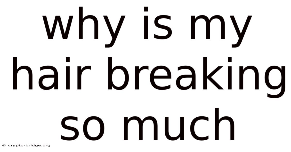 Why Is My Hair Breaking So Much