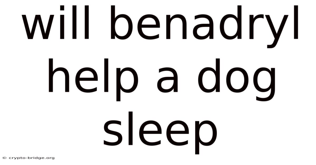 Will Benadryl Help A Dog Sleep