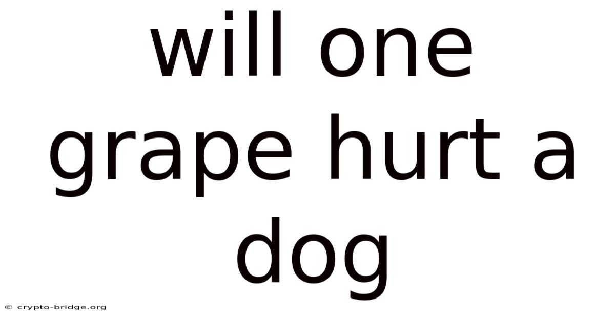 Will One Grape Hurt A Dog