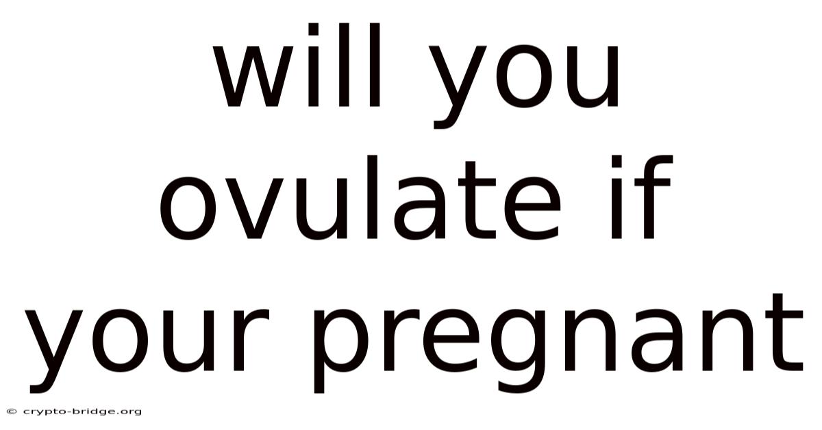 Will You Ovulate If Your Pregnant