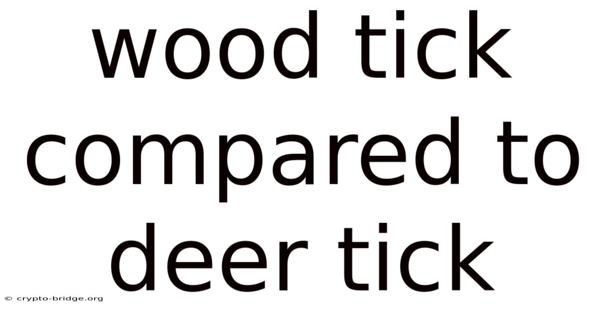 Wood Tick Compared To Deer Tick