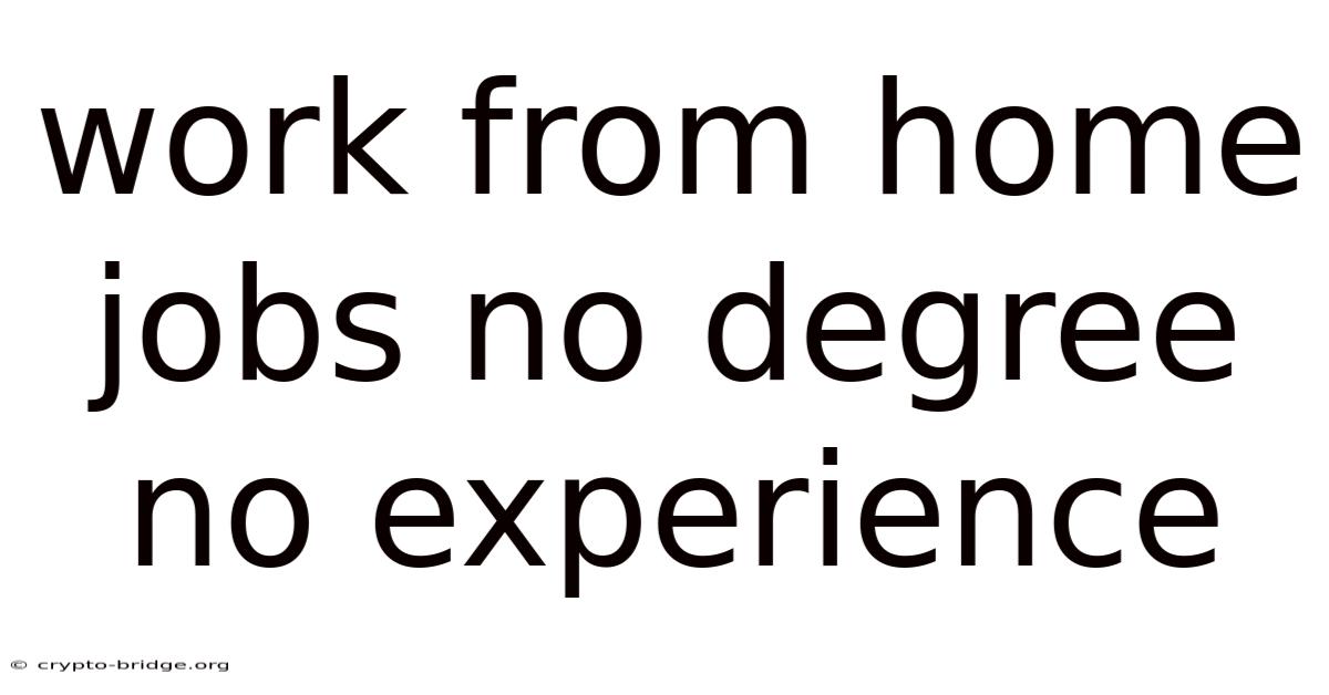 Work From Home Jobs No Degree No Experience